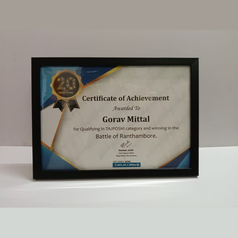 A4 Format Certificate Photo Frame