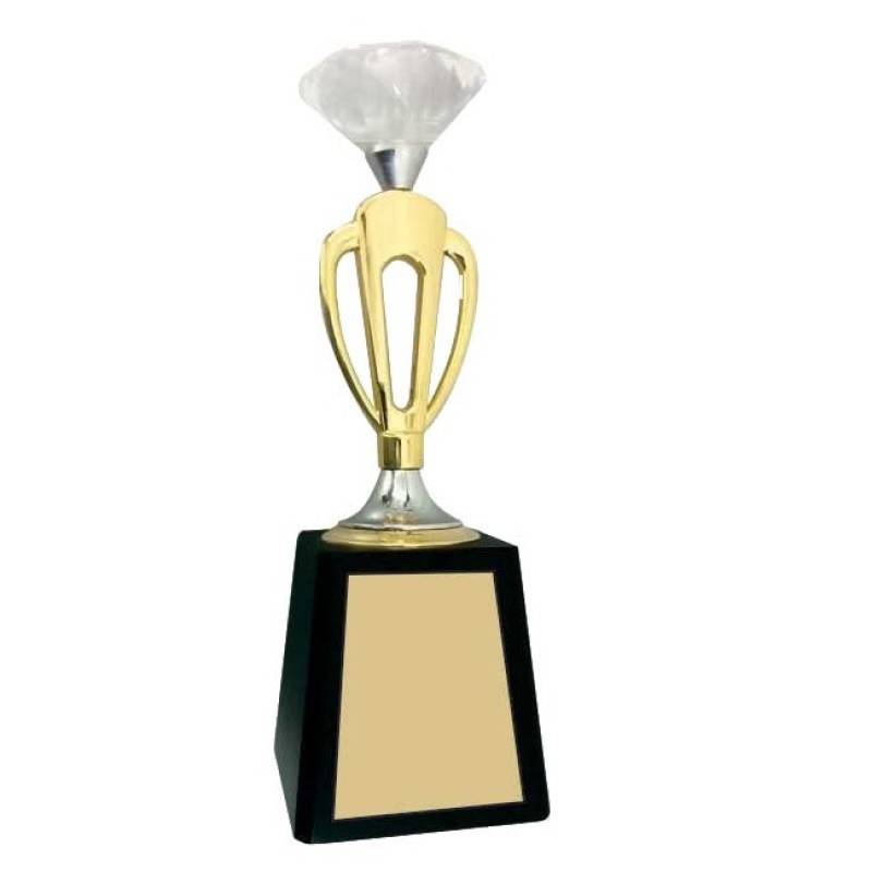 Diamond on a loop trophy
